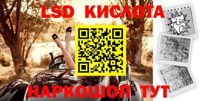 ешки Можга