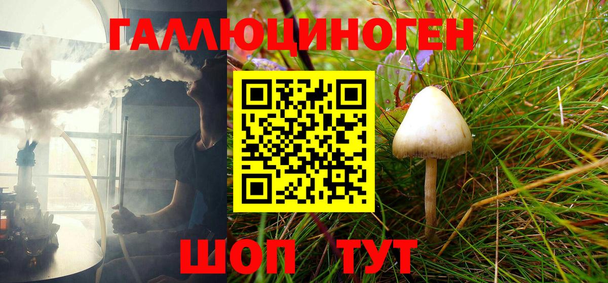 Псилоцибиновые грибы GOLDEN TEACHER  Вход с VPN  Гурьевск 