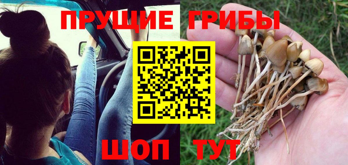 КОКАИН  Каннабис  НБОМе  ТГК  ГАШ  Гашиш  Вход с VPN  Лсд 25  A PVP СК   Гурьевск  Меф  