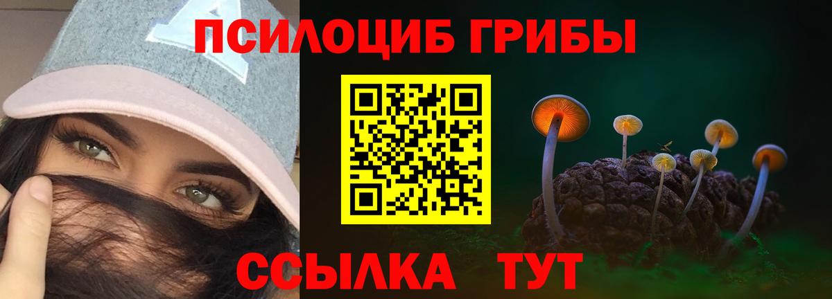 Псилоцибиновые грибы GOLDEN TEACHER Гурьевск